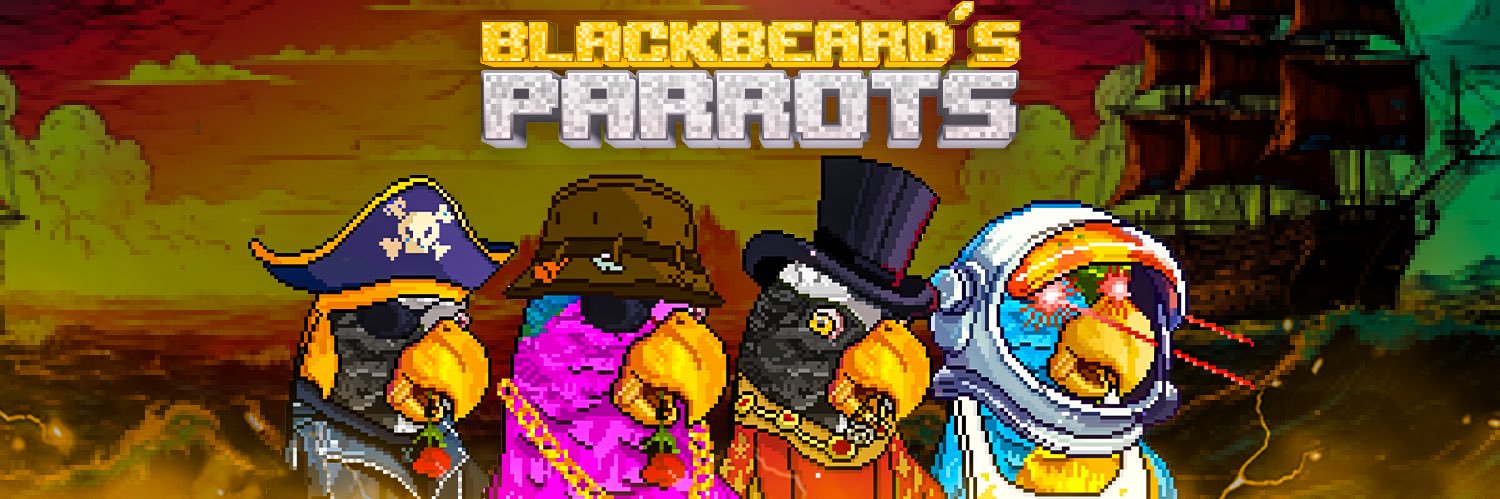 parrotssol's profile banner image
