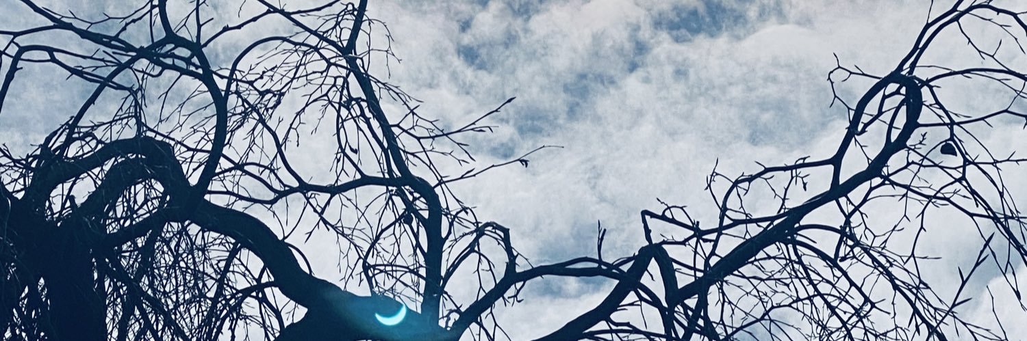 rylleaix's profile banner image