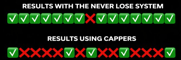 Never Lose System banner