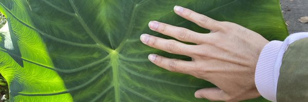 cjustinano Profile Banner