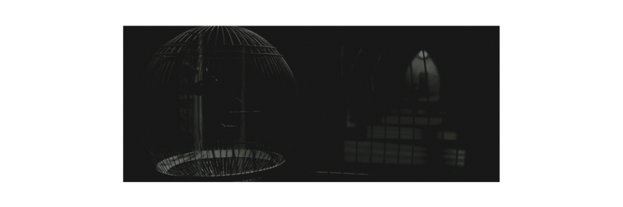 𝓓𝐑𝐀𝐂𝐎 .ᐟ banner