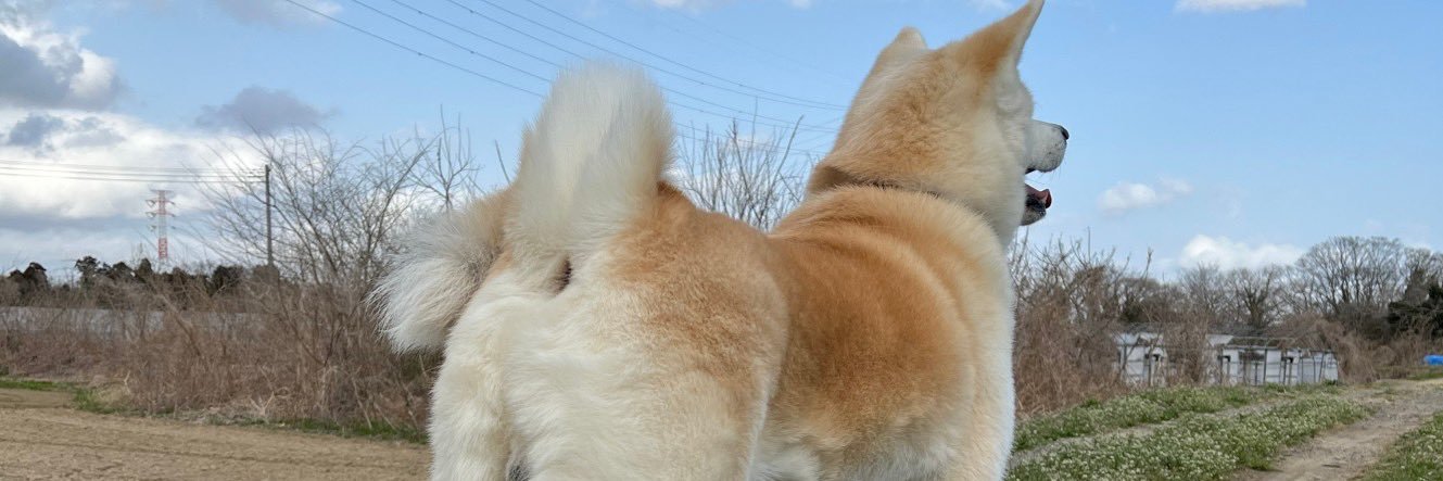 UYLJsIPMze15231's profile banner image
