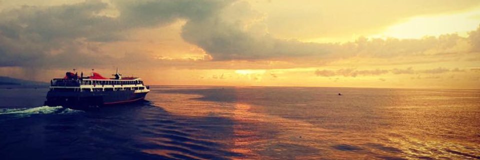 yoengq04's profile banner image