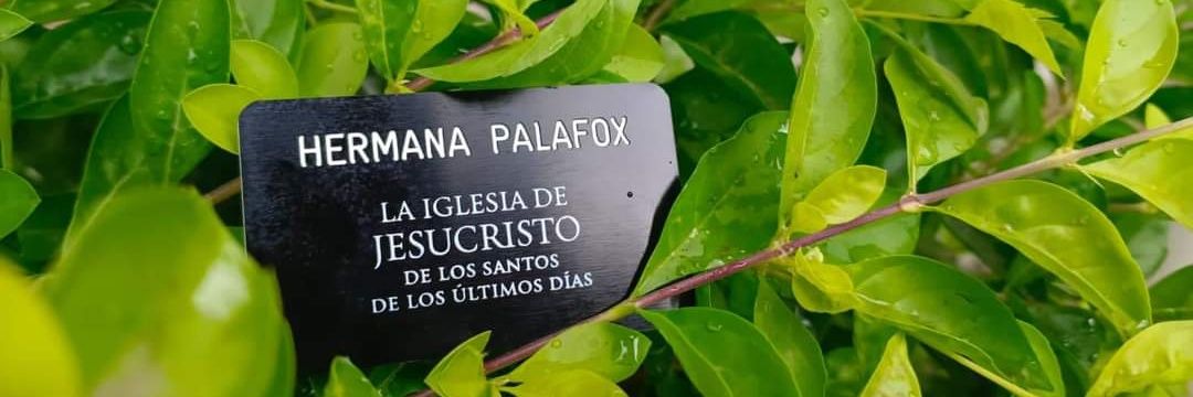 Keyla Palafox banner