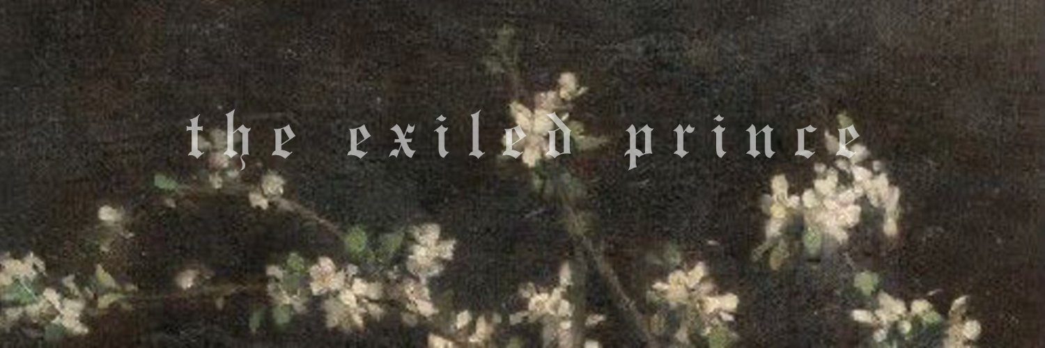 𝐕. 𝐇𝐎𝐎𝐊. banner
