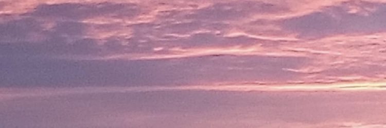 MVPSHP's profile banner image