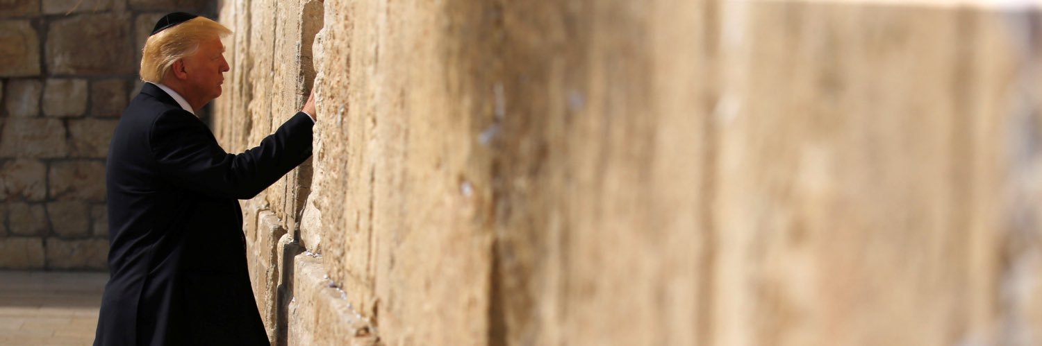 shelsd64's profile banner image