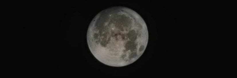 srta_arax's profile banner image