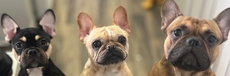 LeslieSuperior's profile banner image
