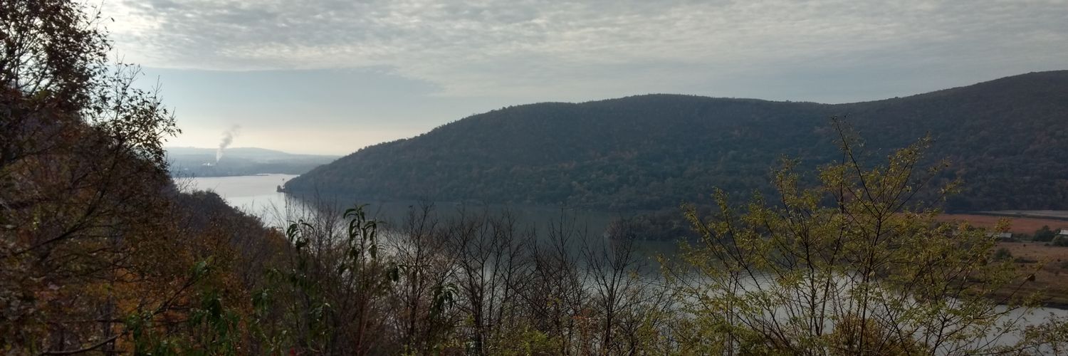 forevrmelanie's profile banner image