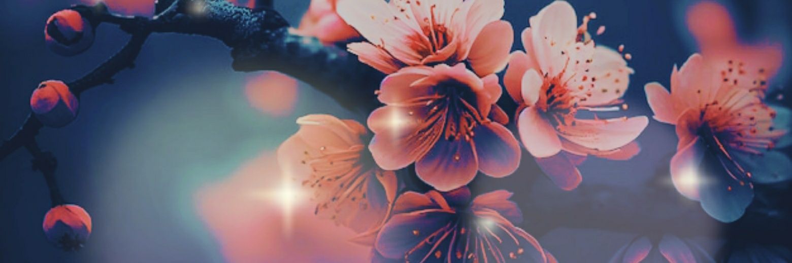 SakuraiBlade's profile banner image