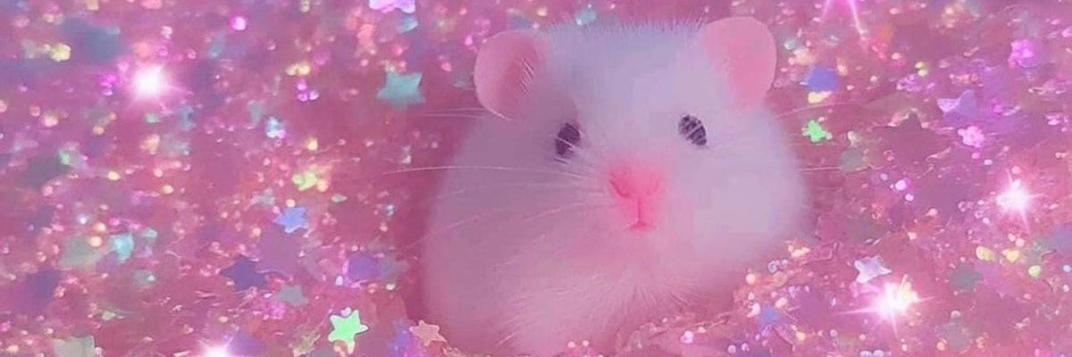OriChanENVT's profile banner image
