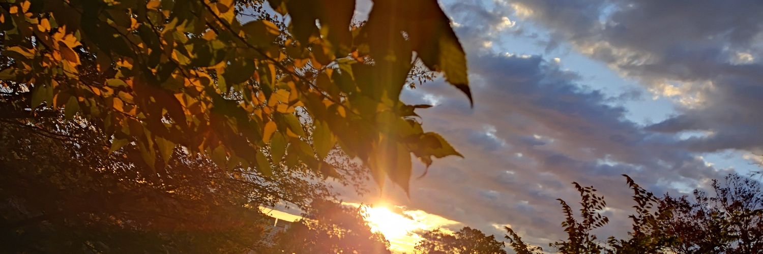 hecklow7's profile banner image