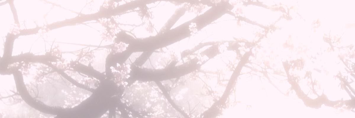 𓆝 𓆟 𓆞 banner