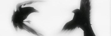 Psinov0's profile banner image