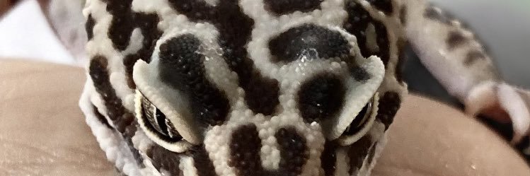 XRIZM000's profile banner image