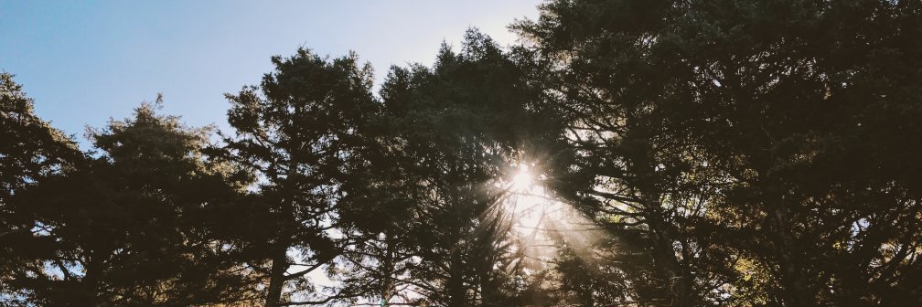 bethanyagilbert's profile banner image