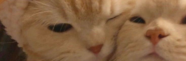 bamtoripp's profile banner image