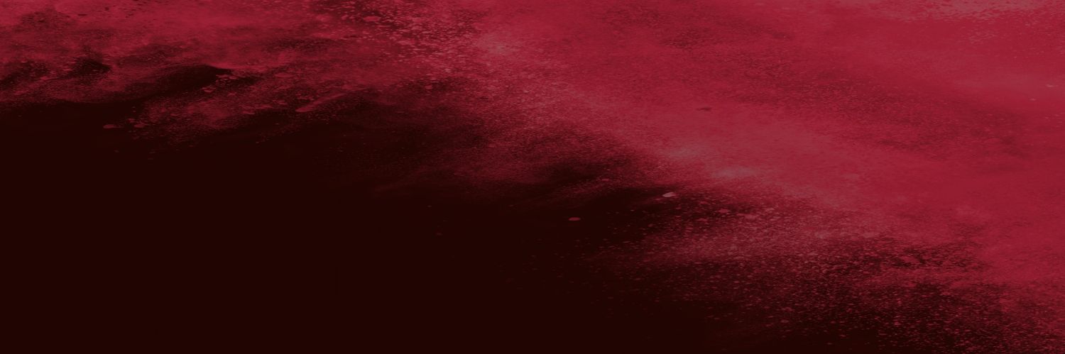 ★ 𝙔𝙊𝙐𝙍 𝗣𝗜𝗘𝗥𝗥𝗢𝗧 ! ★ banner