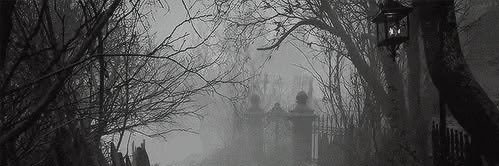 7i_ori's profile banner image