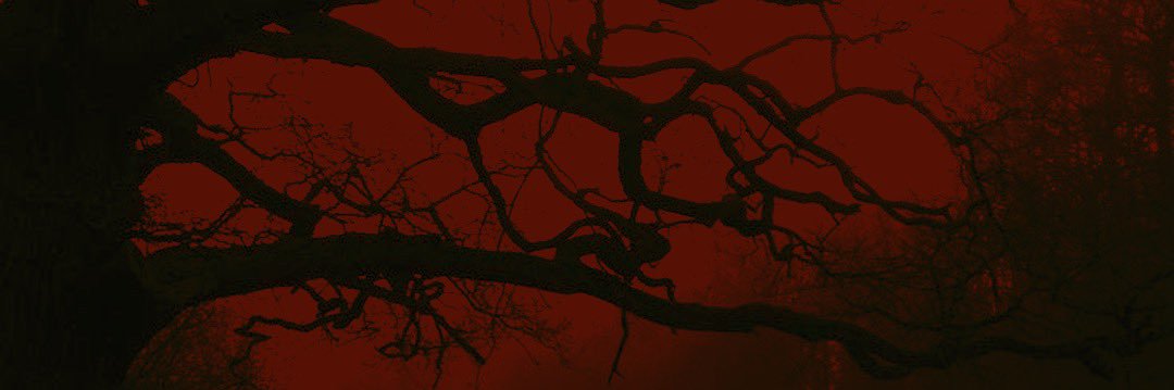 𓄧 Adam ⚜️ banner