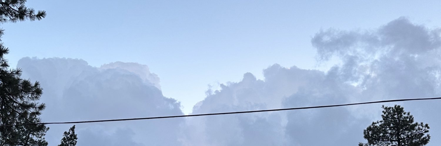 jliiluvsp's profile banner image