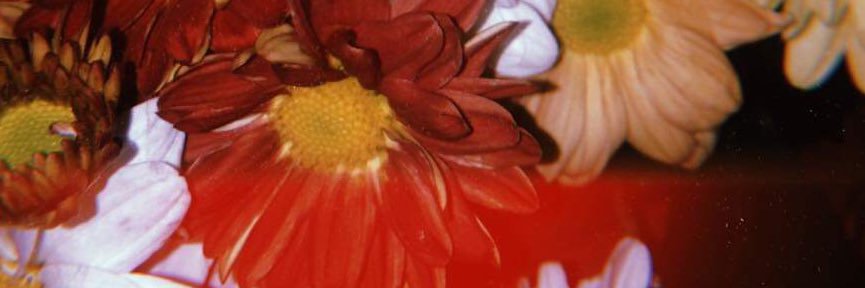 binicooper's profile banner image