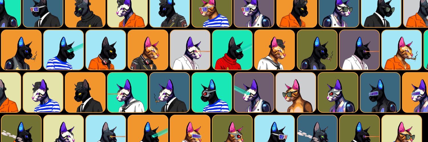 Bitroot_BRT's profile banner image