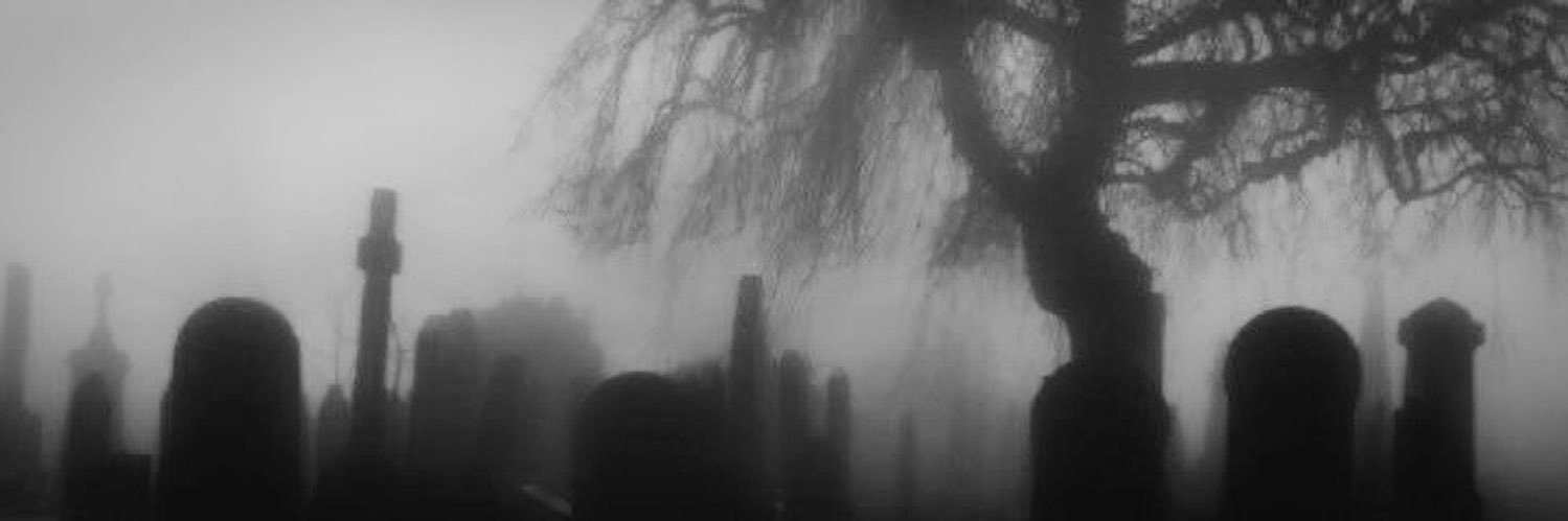 Calico’s Backup banner