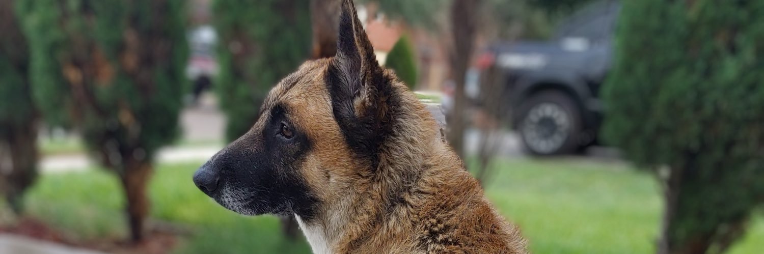 Texas Celtic Slacker 🇺🇸🇬🇧🏴󠁧󠁢󠁳󠁣󠁴󠁿🇮🇪 banner