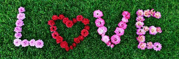 spicypeppermint Profile Banner