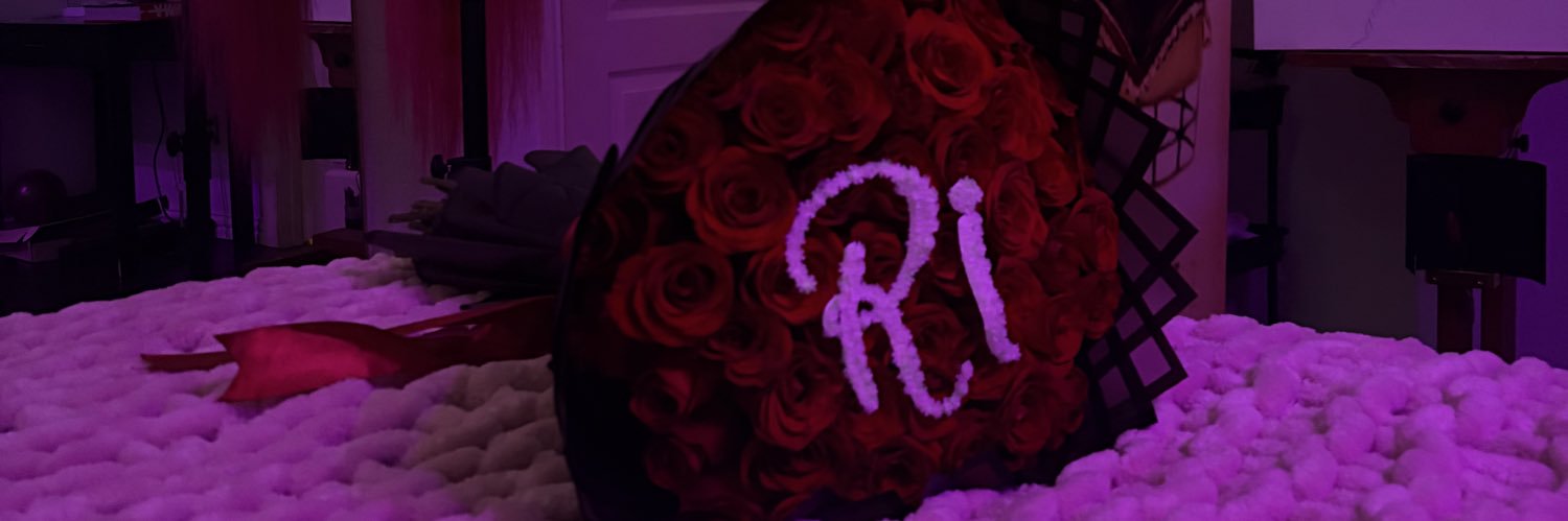 princessbratri's profile banner image