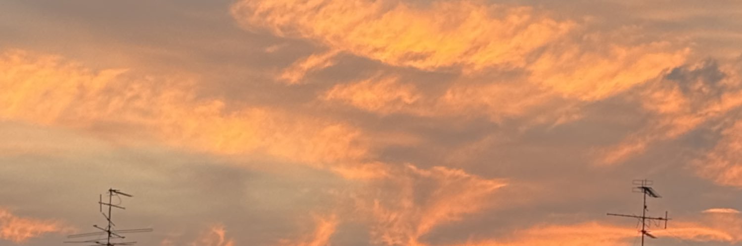 farzreena's profile banner image