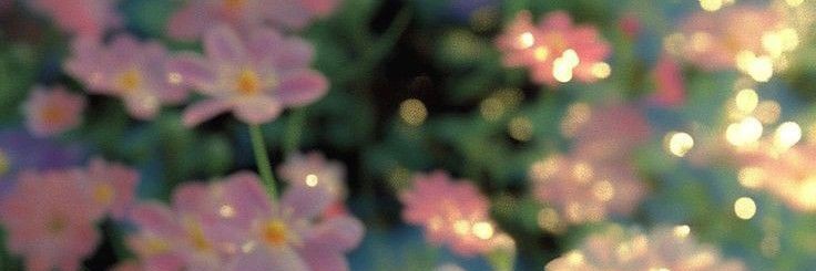 ira_ssha's profile banner image