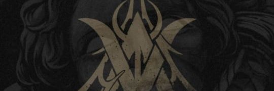 stichzyy banner