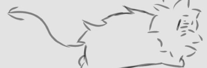jay225248's profile banner image