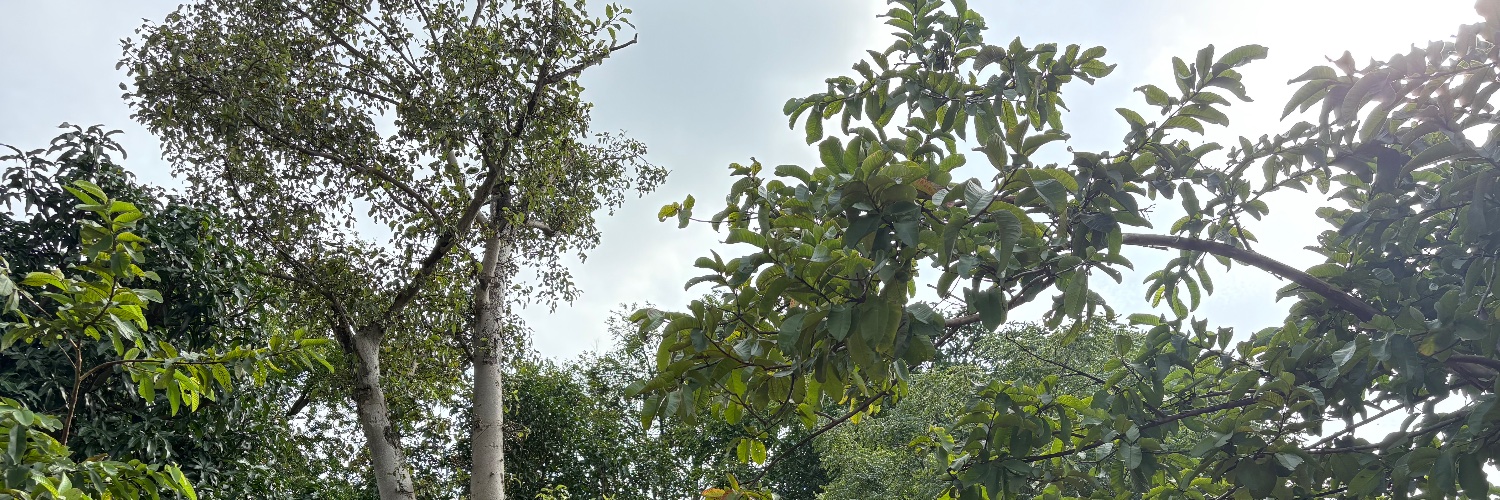 Capt Suman Tiwari banner