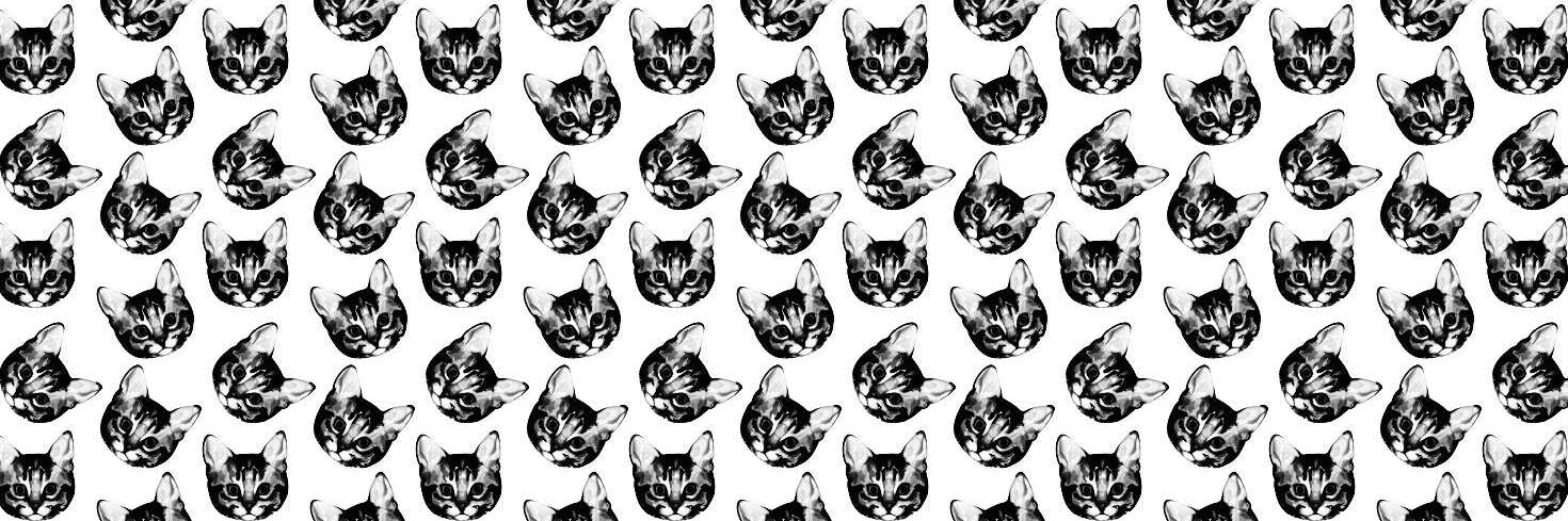 Hannahnicole1's profile banner image