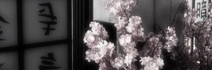 kakiha_'s profile banner image