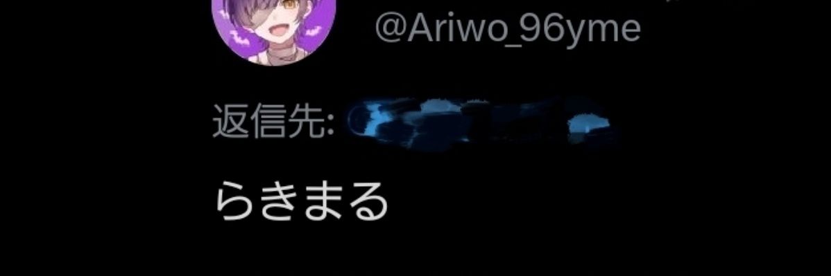 rakimaru_ari_k's profile banner image
