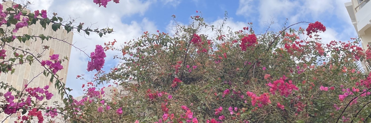 المُــؤيْدَ| 2025 banner