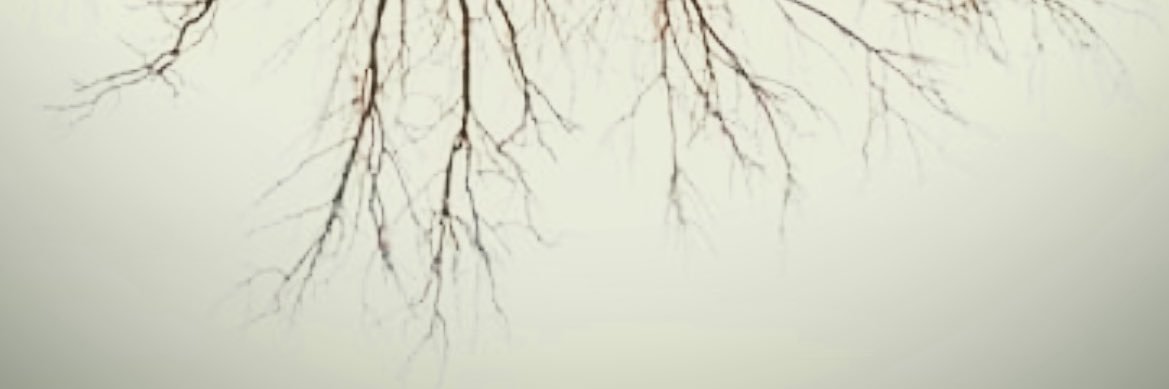 Romel banner
