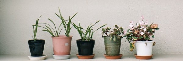 SincerelyXXIII's profile banner image
