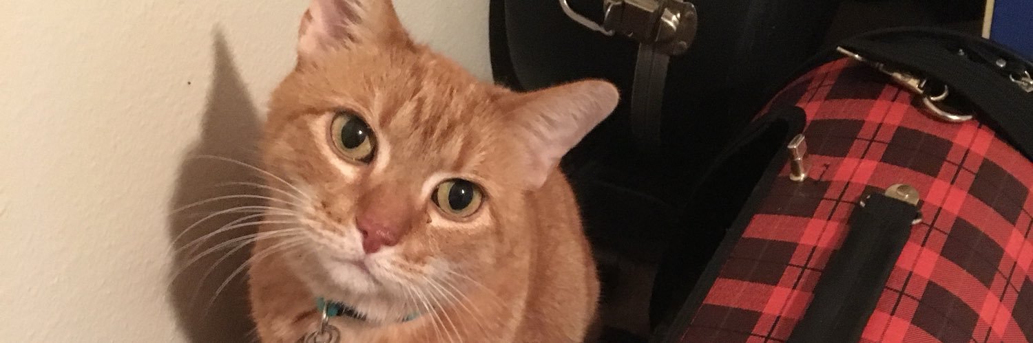 SydneyWisee's profile banner image
