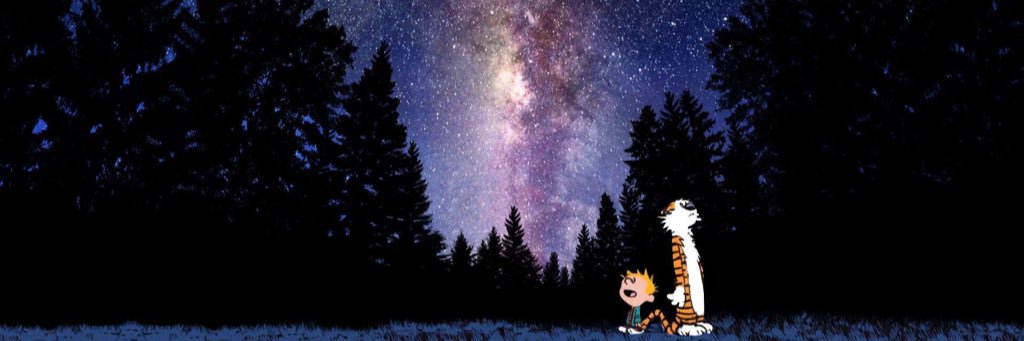 Polarbearu2's profile banner image