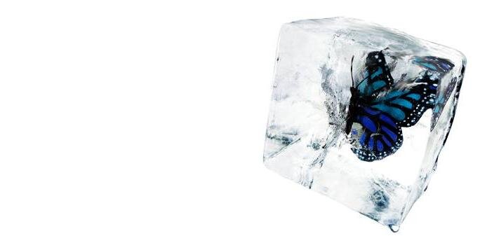 Twitter banner for @rarity