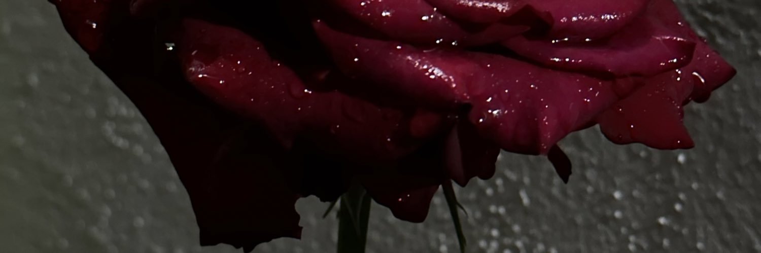 GMV banner