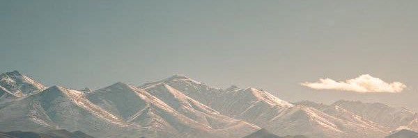 - banner