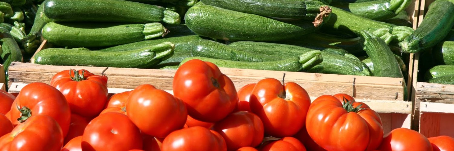 WorldVeg (West and Central Africa) banner