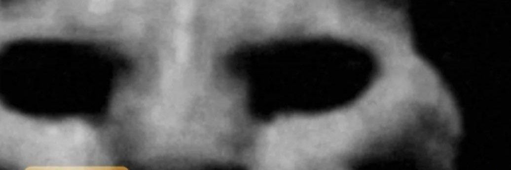 Pureshitposter banner